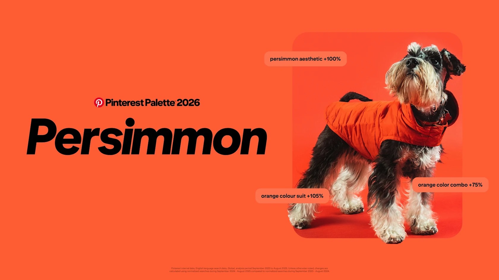 Persimmon turuncu 2026 renk trendi